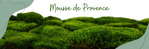 Mousse de provence